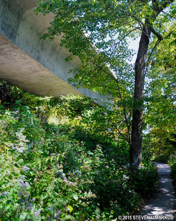 The Blue Ridge Parkway's Linn Cove Viaduct Overlook Trail follows along under the viaduct
