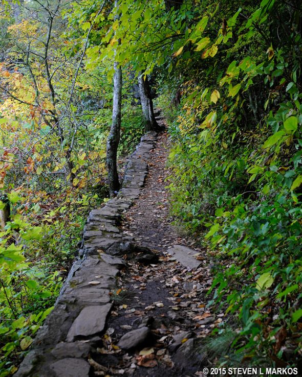 Narrow but smooth section of the Crabtree Falls Loop Trail leads out of the valley, Blue Ridge Parkway