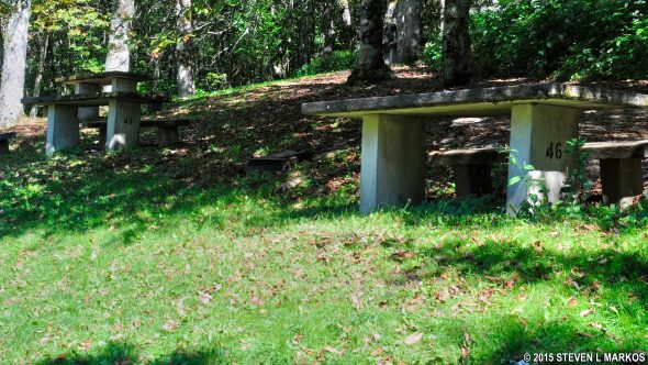 Mesas situadas en las empinadas colinas del área de picnic de Craggy Gardens