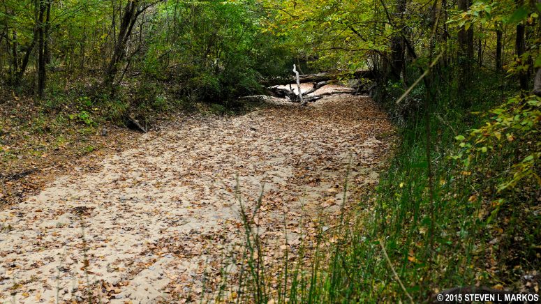 Sandy soil at the southern end of the Natchez Trace