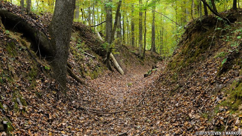 Example of a sunken Natchez Trace segment at Mile 397.4 on the Natchez Trace Parkway