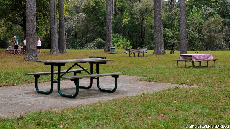 Handicap-accessible table at Coles Creek Picnic Area at Mile 17.5 on the Natchez Trace Parkway