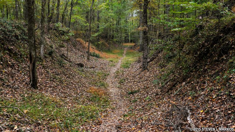 Sunken section of the Natchez Trace on the Grindstone Ford Trail, Mile 45.7 on the Natchez Trace Parkway