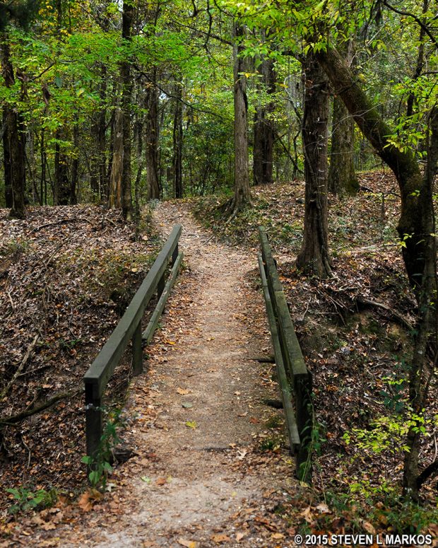 Trail through the Rocky Springs town site at Mile 54.8 on the Natchez Trace Parkway