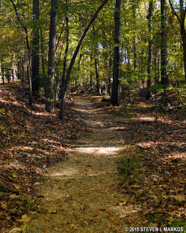 Natchez Trace Parkway | OLD TRACE AND BRASHEARS STAND (MP 104.5)