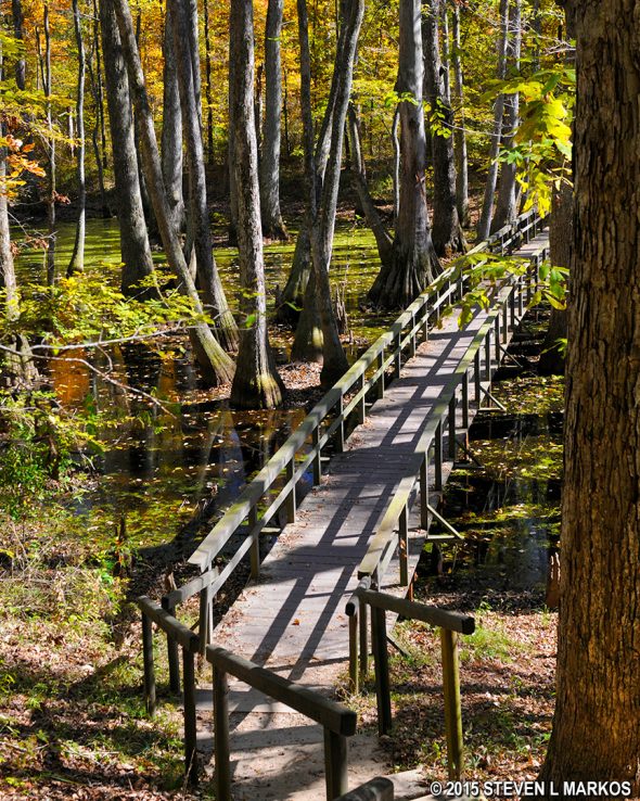 Footbridge across the swamp