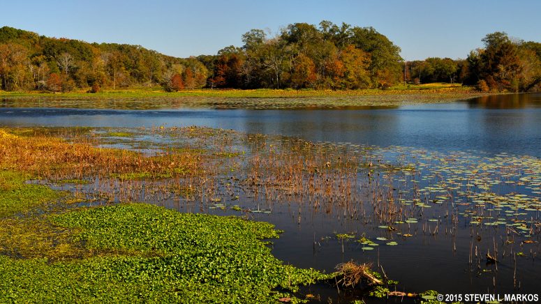 Pearl River
