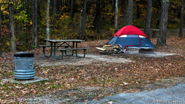 Campsite level with the parking area at Jeff Busby Park Campground