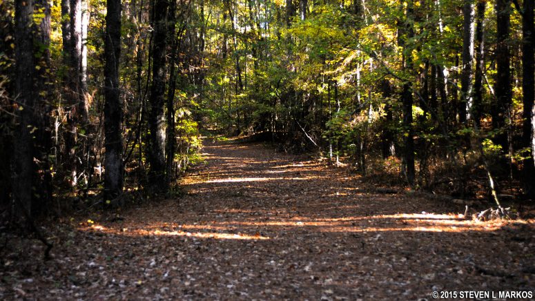 Original Natchez Trace segment at Mile 198.6 on the Natchez Trace Parkway