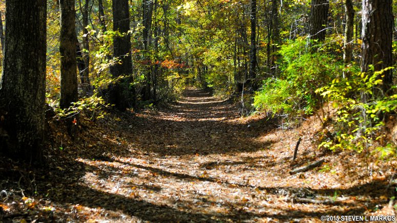 Original segment of the Natchez Trace at Mile 221.4 on the Natchez Trace Parkway
