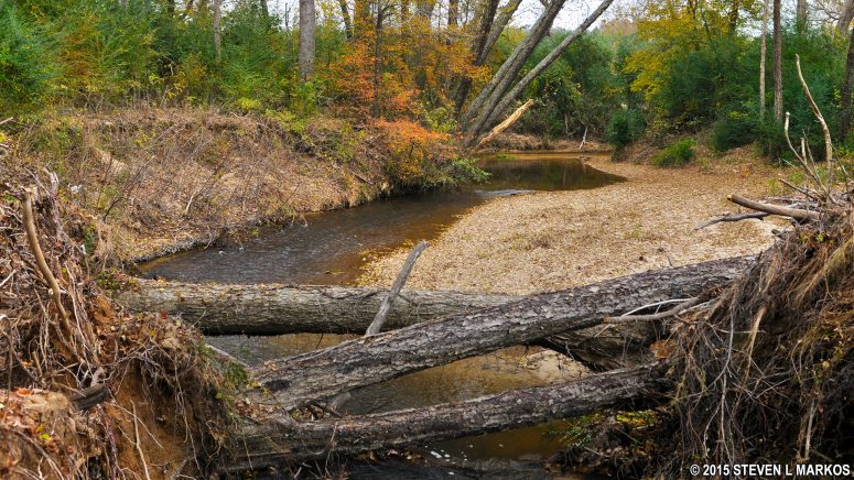 Creek at the Jourdan Creek Picnic Area, Mile 295 on the Natchez Trace Parkway