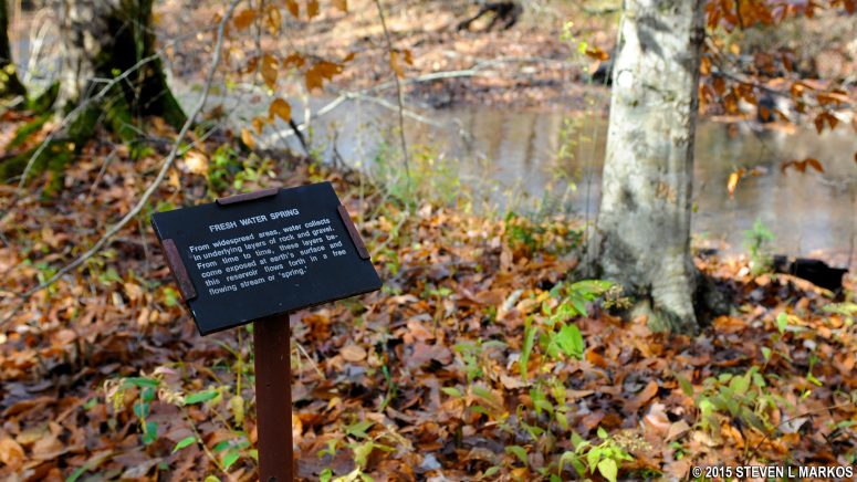 Wayside exhibits can be found along the Sweetwater Branch Nature Trail at Mile 363 on the Natchez Trace Parkway