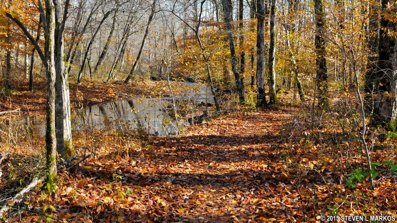 Nature trail follows Sweetwater Creek for most of its length