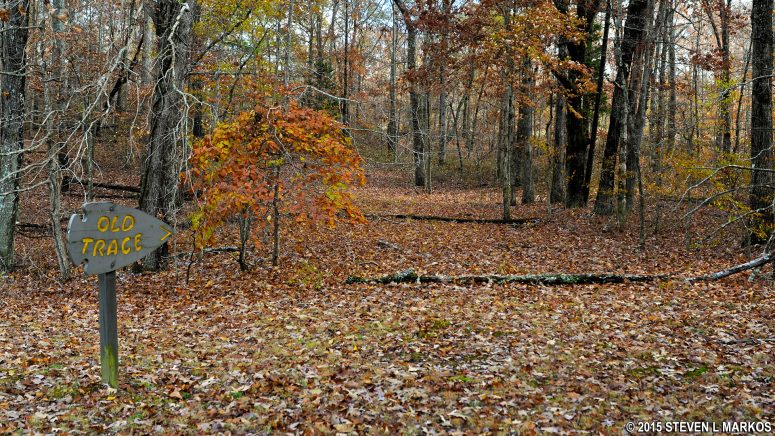 Short segment of the original Natchez Trace at Mile 367.3 on the Natchez Trace Parkway