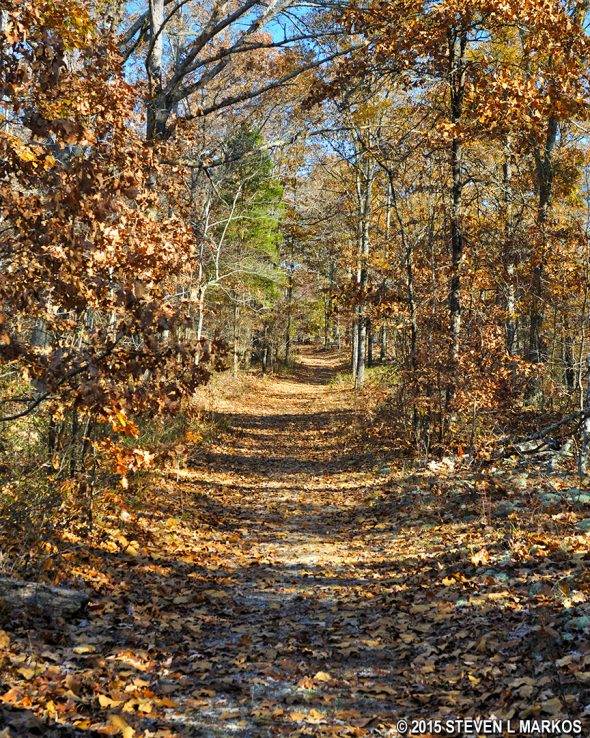 Original Natchez Trace segment