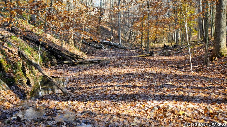 The trail often follows directly on the creek bed