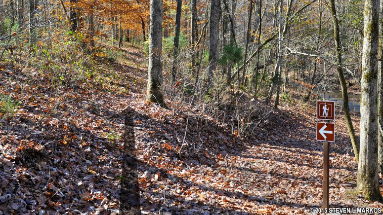 Take a left at the first intersection once reentering the forest