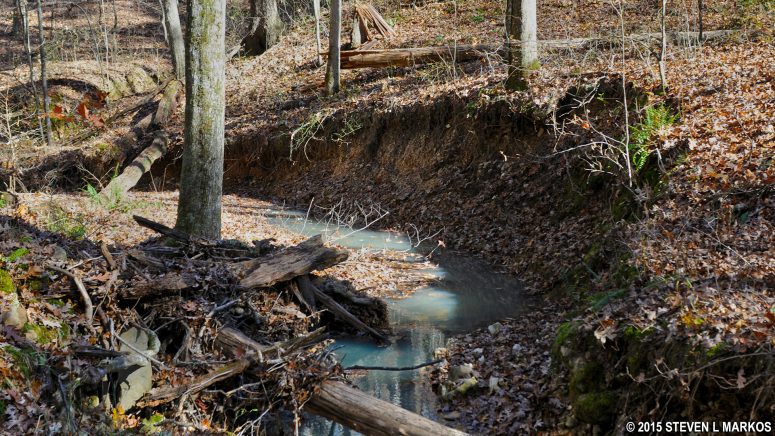 Milky colored water adds to the beauty of the small creek