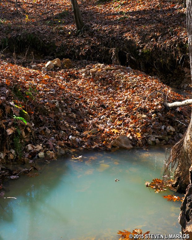 Deep pool at the second creek crossing near the overlook on the west side of the hike around Meriwether Lewis Site at Mile 385.9 on the Natchez Trace Parkway