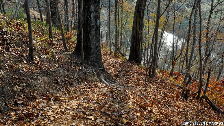 Very steep hill greets hikers on the Bluff side of the Baker Bluff-Jackson Falls Trail on the Natchez Trace Parkway