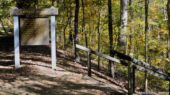 Cypress Swamp Loop Trail on the Natchez Trace Parkway