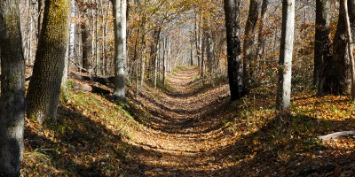 NATCHEZ TRACE NATIONAL SCENIC TRAIL