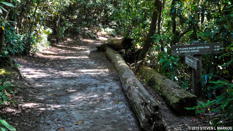 Fork for the Plunge Basin and Linville Gorge trails, Blue Ridge Parkway