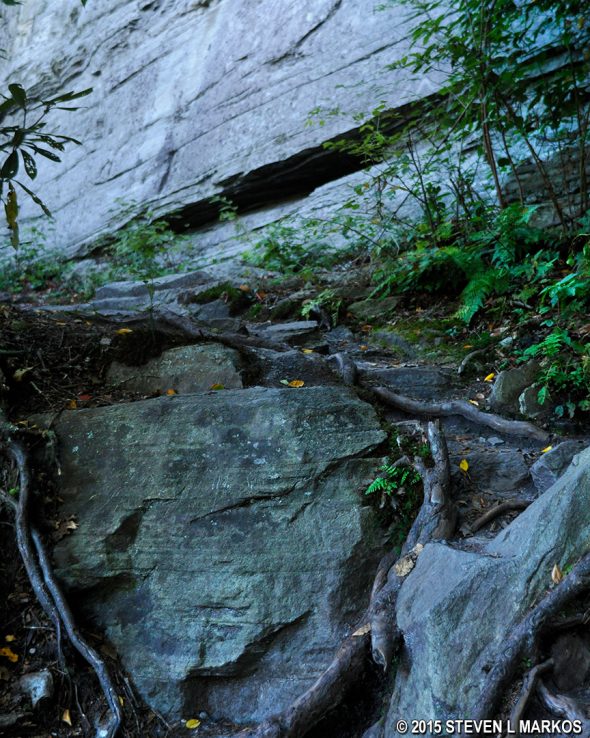 One of the larger rocks blocking progress on the Blue Ridge Parkway's Linville Gorge Trail