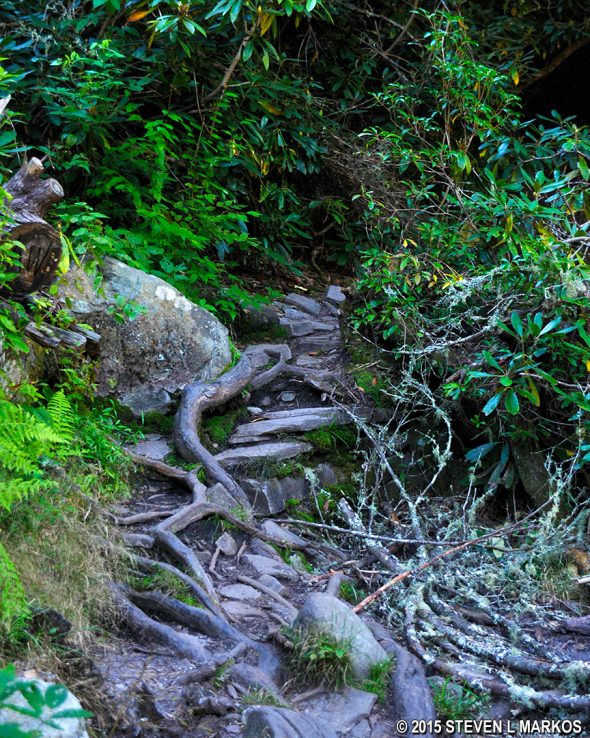Typical terrain of the Blue Ridge Parkway's Linville Gorge Trail