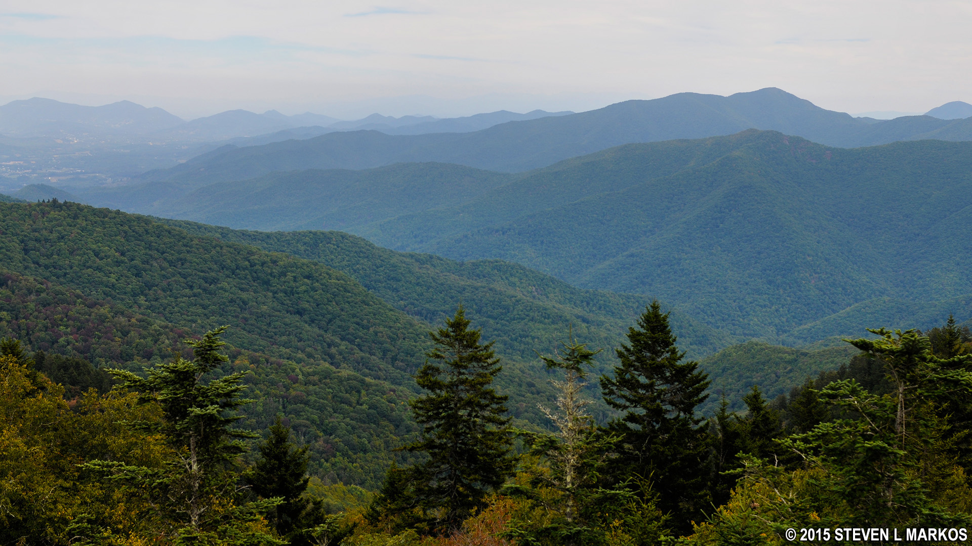 Blue Ridge Parkway | BEARTRAIL RIDGE OVERLOOK (MP 430.4) |