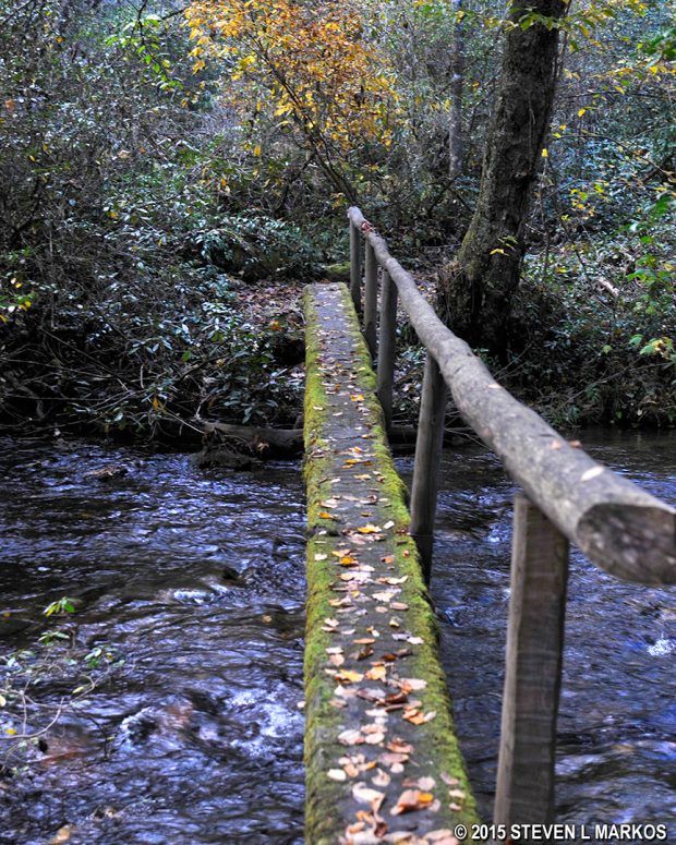 A look across an Indiana Jones-style bridge on the Caldwell Fork Trail in Great Smoky Mountains National Park