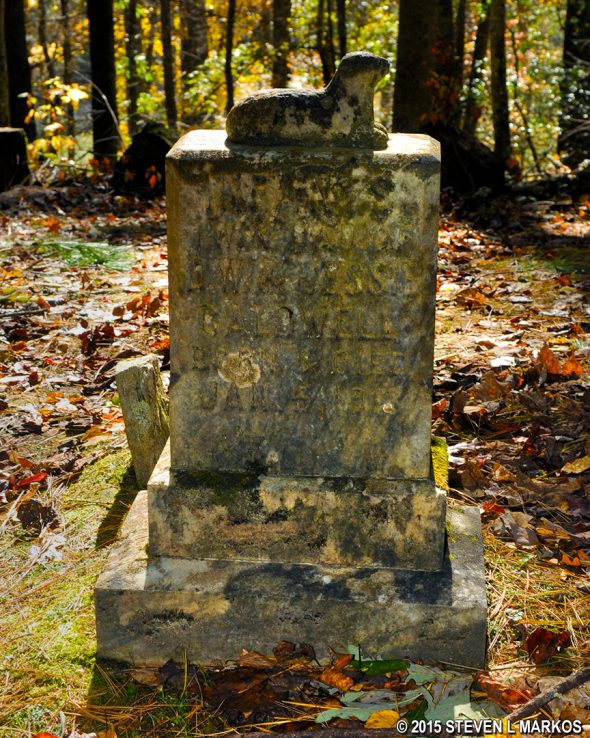 Grave of ? Caldwell (Born and Died 1/5/1913) in the Caldwell Cemetery, Great Smoky Mountains National Park
