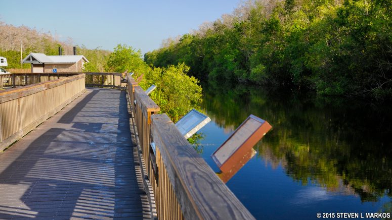 Boardwalk overlooking the canal at H. P. Williams Roadside Park at Big Cypress National Preserve