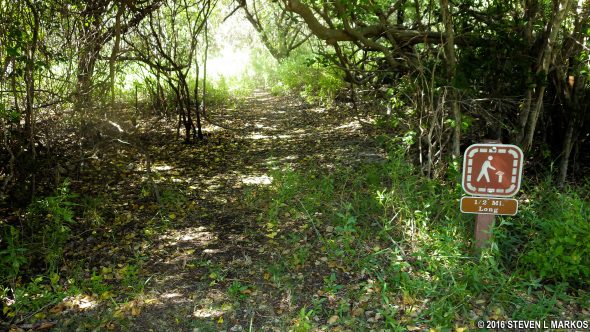 Start of the Adams Key Loop Trail, Biscayne National Park