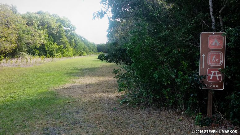 Start of the Elliott Key Loop Trail on Biscayne National Park's Elliott Key