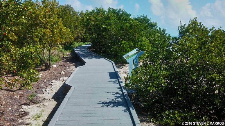 Boardwalk portion of the Elliott Key Loop Trail in Biscayne National Park