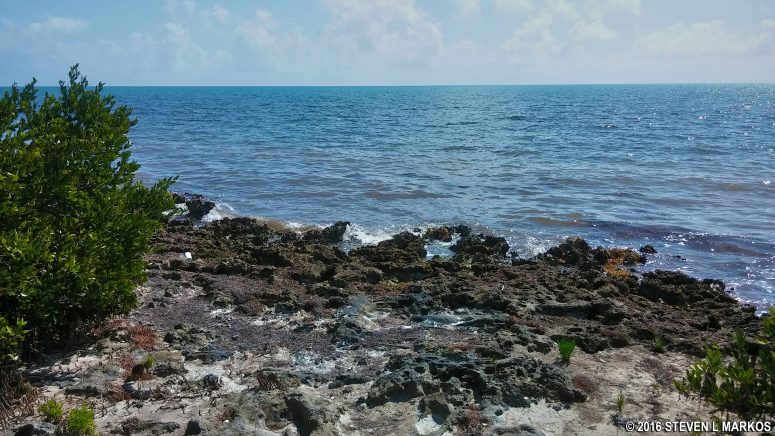 Shoreline of Biscayne National Park's Elliott Key along the Elliott Key Loop Trail