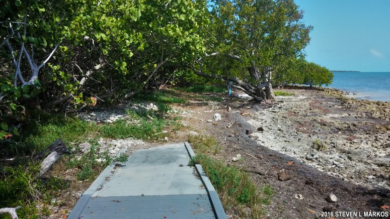 Rough section of the Elliott Key Loop Trail on the ocean side of Biscayne National Park's Elliott Key