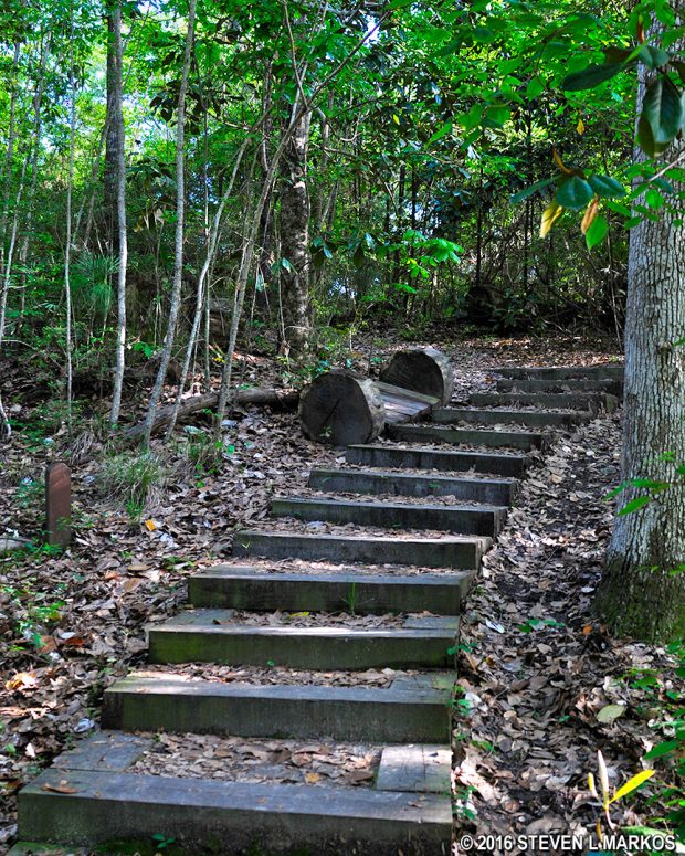 Stairs are found on the "steeper" hills on the Nature's Way Loop Trail in the Davis Bayou unit of Gulf Islands National Seashore