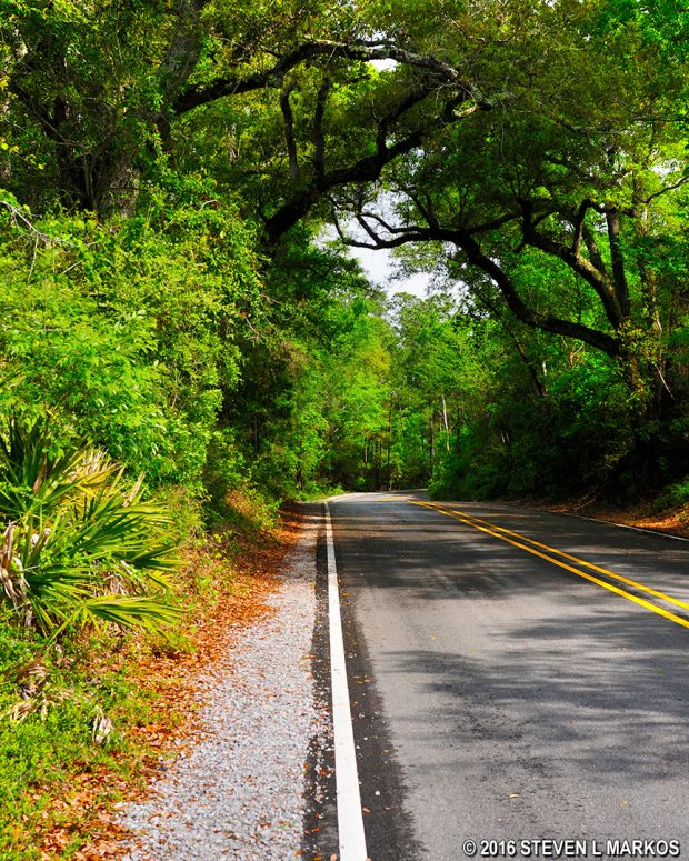 Davis Bayou Trail in Gulf Islands National Seashore is the shoulder of Park Road and Robert McGhee Road