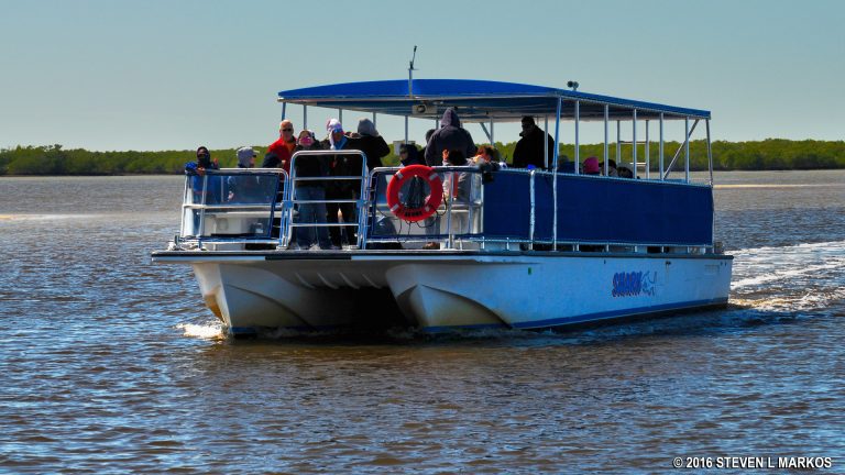 boat tours everglades national park