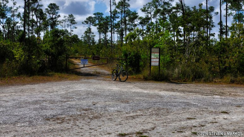 Parking and trailhead for the western entrance to Long Pine Key Trail in Everglades National Park