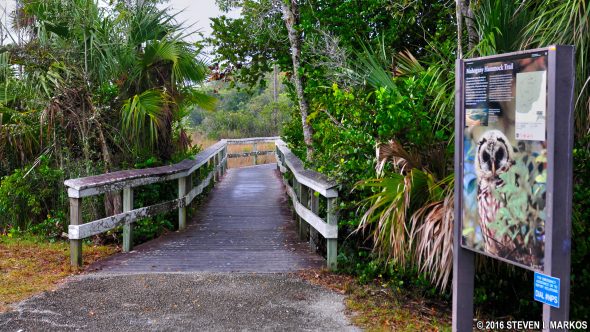 Start of the Mahogany Hammock Trail in Everglades National Park