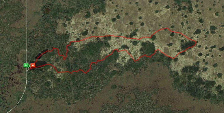 Nine Mile Pond Canoe Trail (click to enlarge)