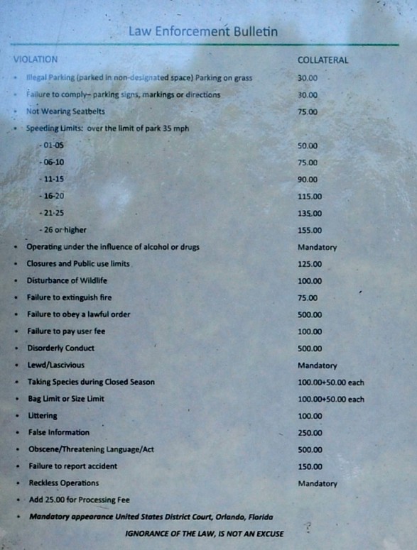 List of common offenses committed at Playalinda Beach