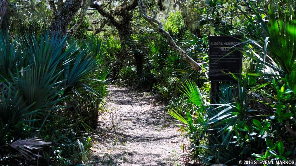 Trailhead for the Eldora Hammock Trail at Canaveral National Seashore