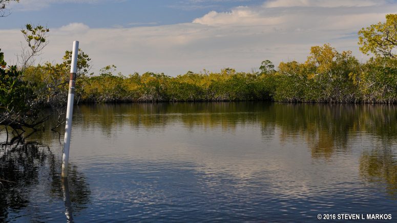 Hell's Bay Canoe Trail in Everglades National Park
