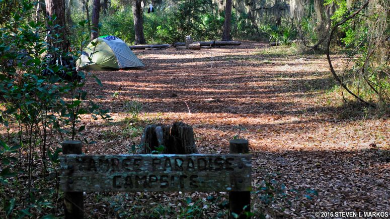 Yankee Paradise Campground on Cumberland Island