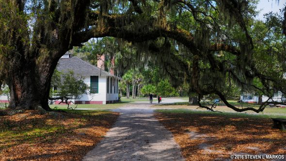 Road through the service village at Dungeness on Cumberland Island