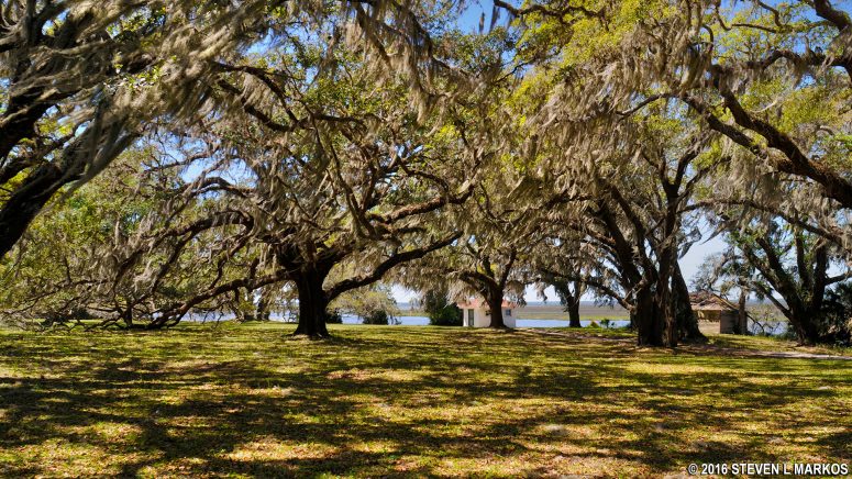 Grounds of Plum Orchard Mansion at Cumberland Island National Seashore